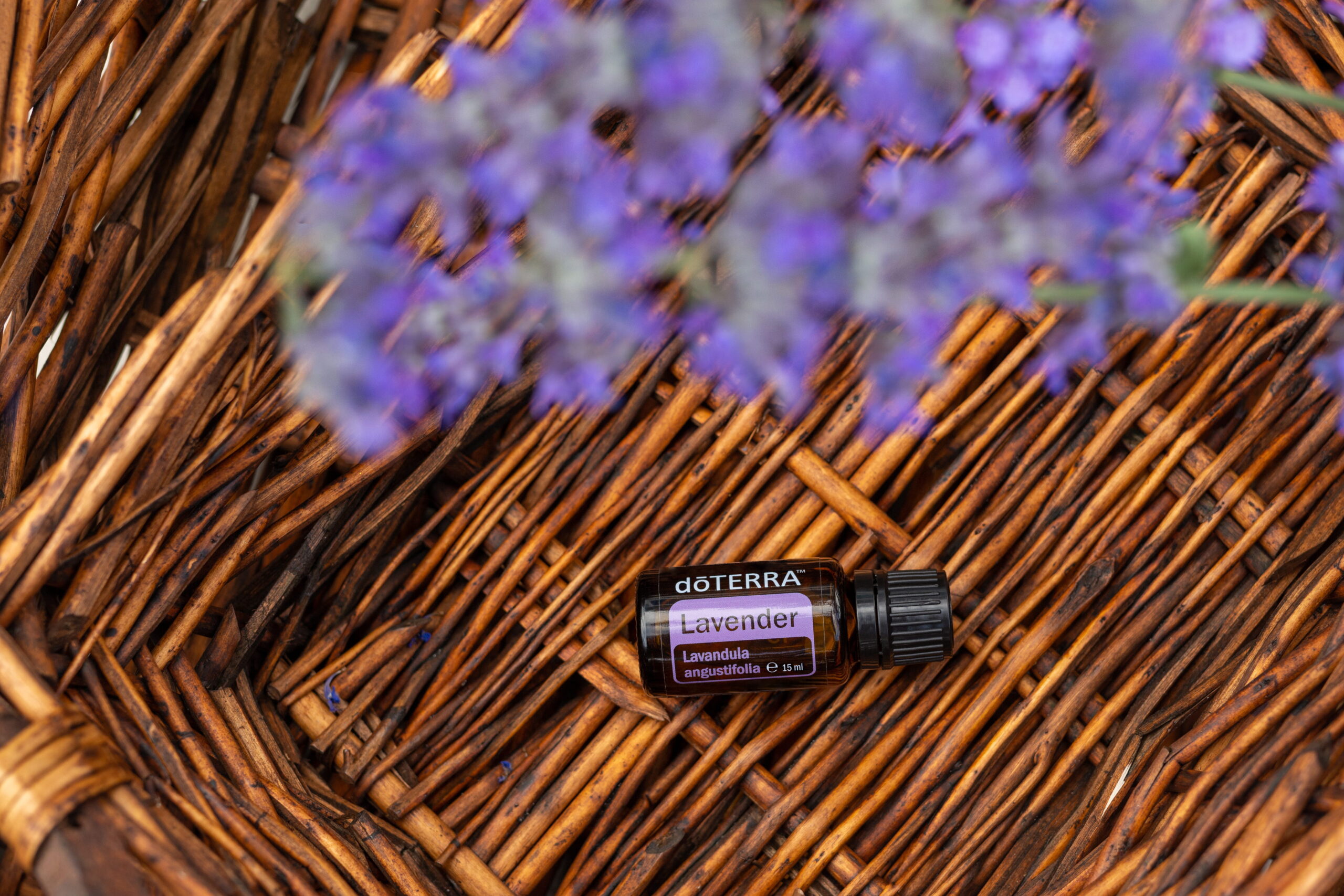 Lavender (Lawenda), Lavendula angustifolia, 15 ml - obrazek 2