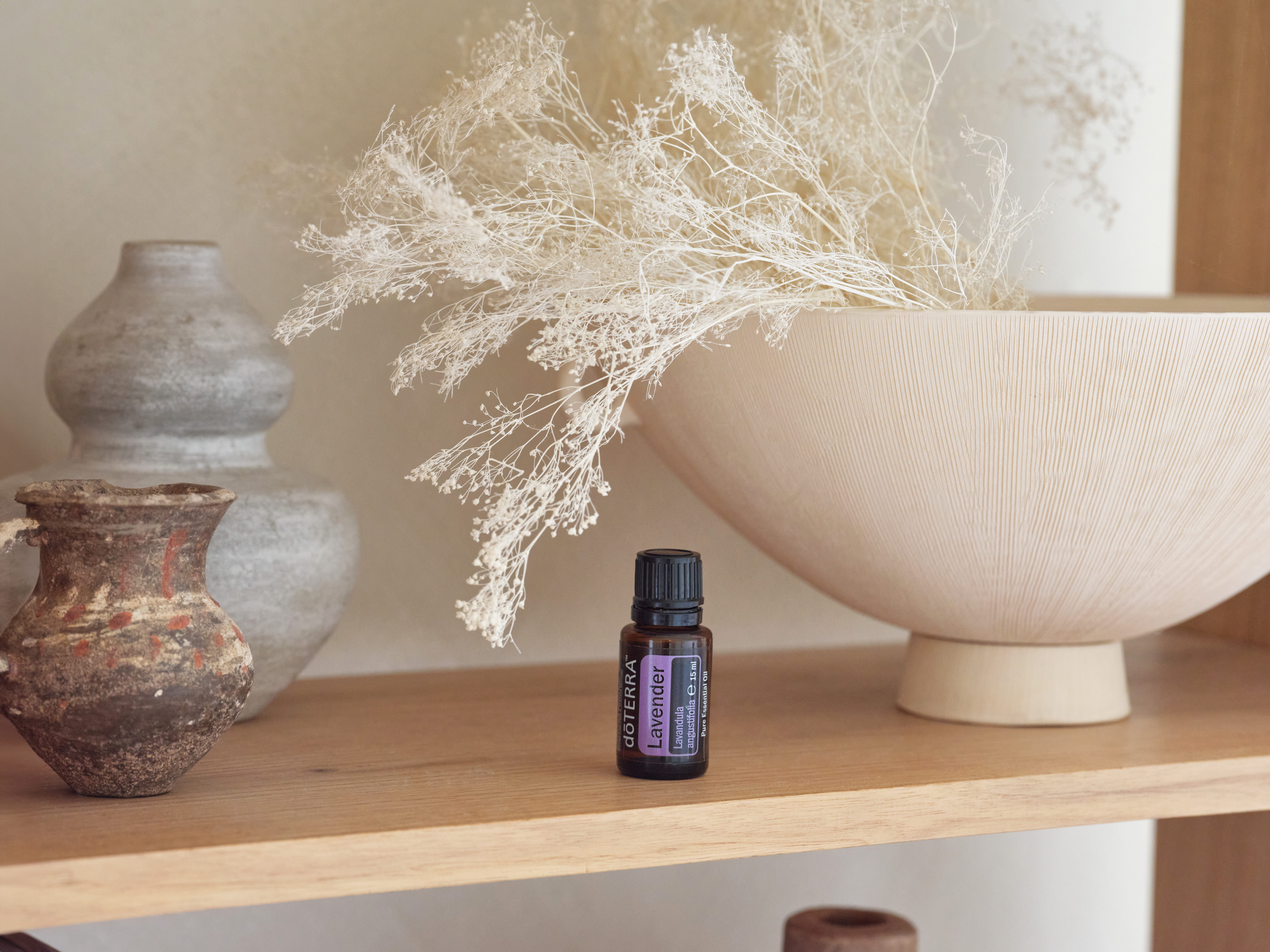 Lavender (Lawenda), Lavendula angustifolia, 15 ml - obrazek 3