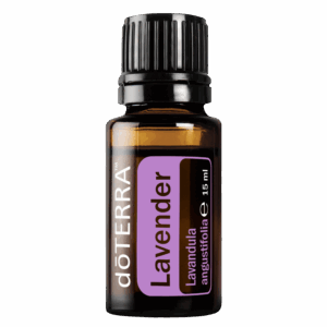 Lavender (Lawenda), Lavendula angustifolia, 15 ml