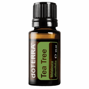 Tea Tree (Drzewko Herbaciane), Melaleuca alternifolia, 15 ml