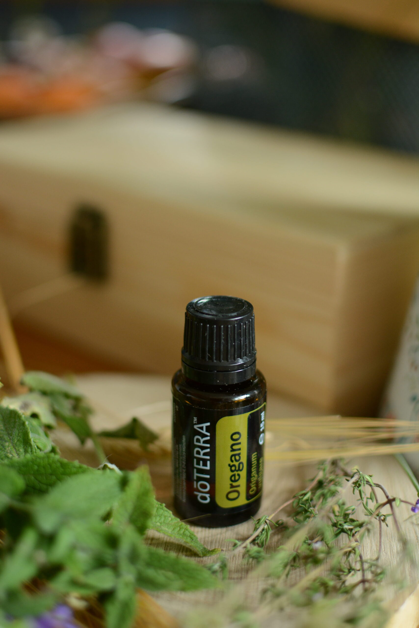Oregano (Lebiodka pospolita), Origanum vulgare, 15 ml - obrazek 2