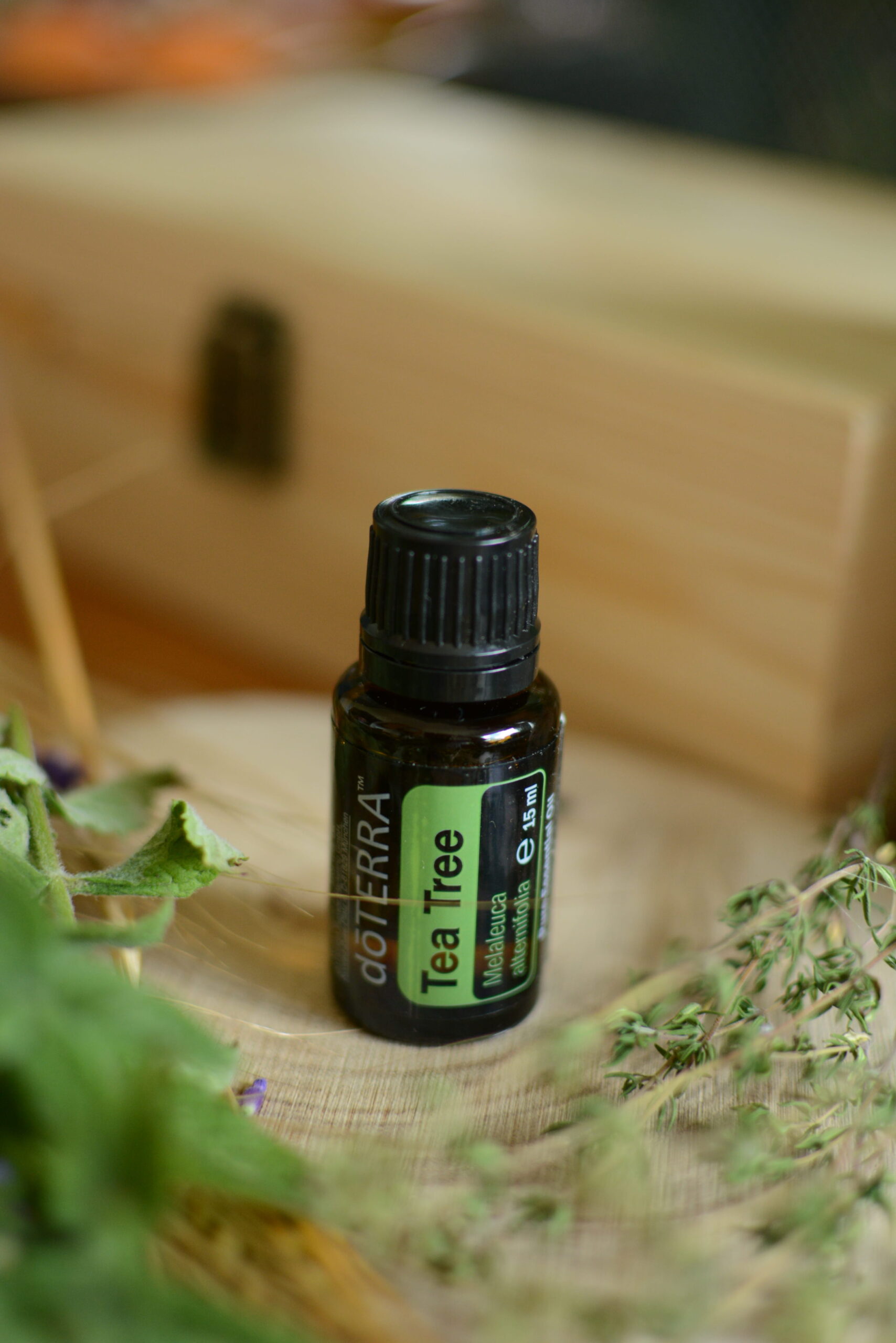 Tea Tree (Drzewko Herbaciane), Melaleuca alternifolia, 15 ml - obrazek 2